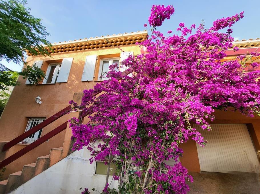 Villa La Garde  Exteriér fotografie